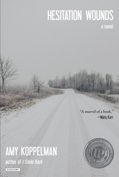 Hesitation Wounds A Novel