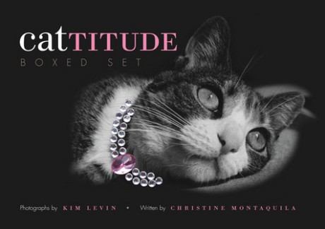 Cover image for Cattitude Box Set Gift Collection of 3 Favorite Catitude Books