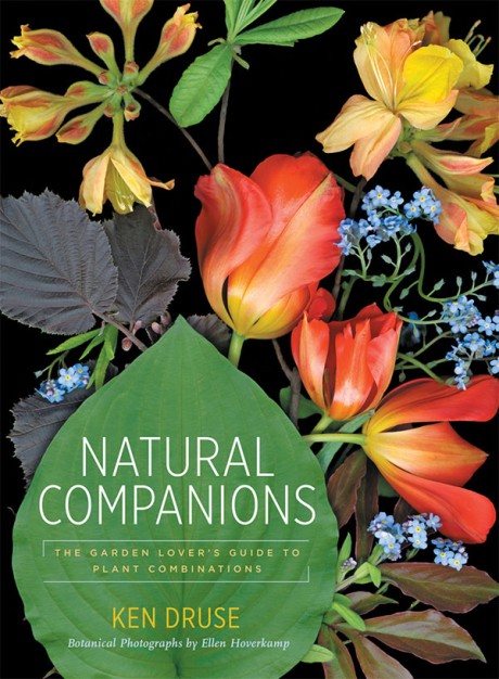 Cover image for Natural Companions The Garden Lover’s Guide to Plant Combinations