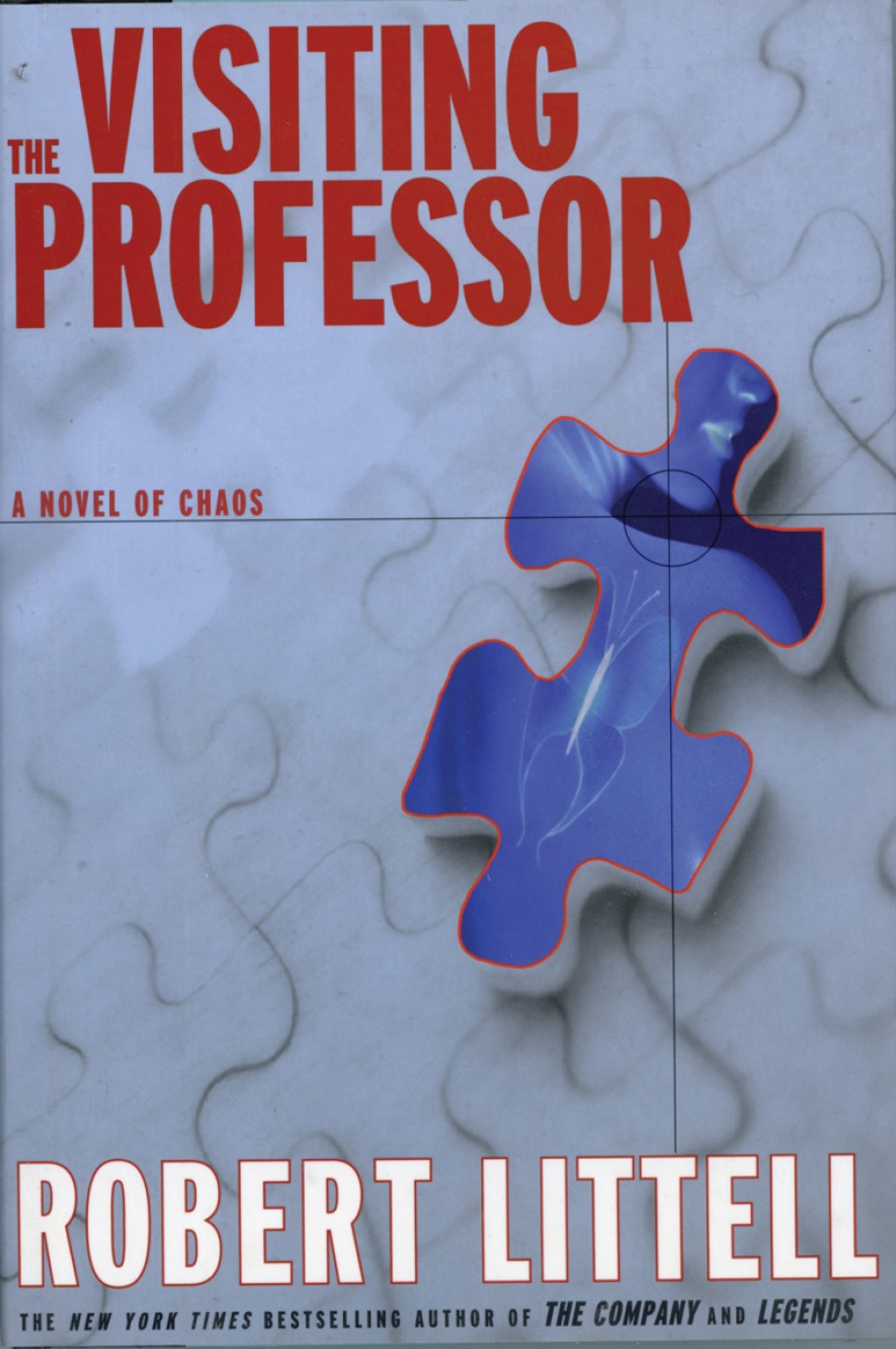 Visiting Professor A Novel of Chaos