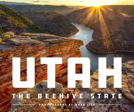 Cover image for Utah: The Beehive State