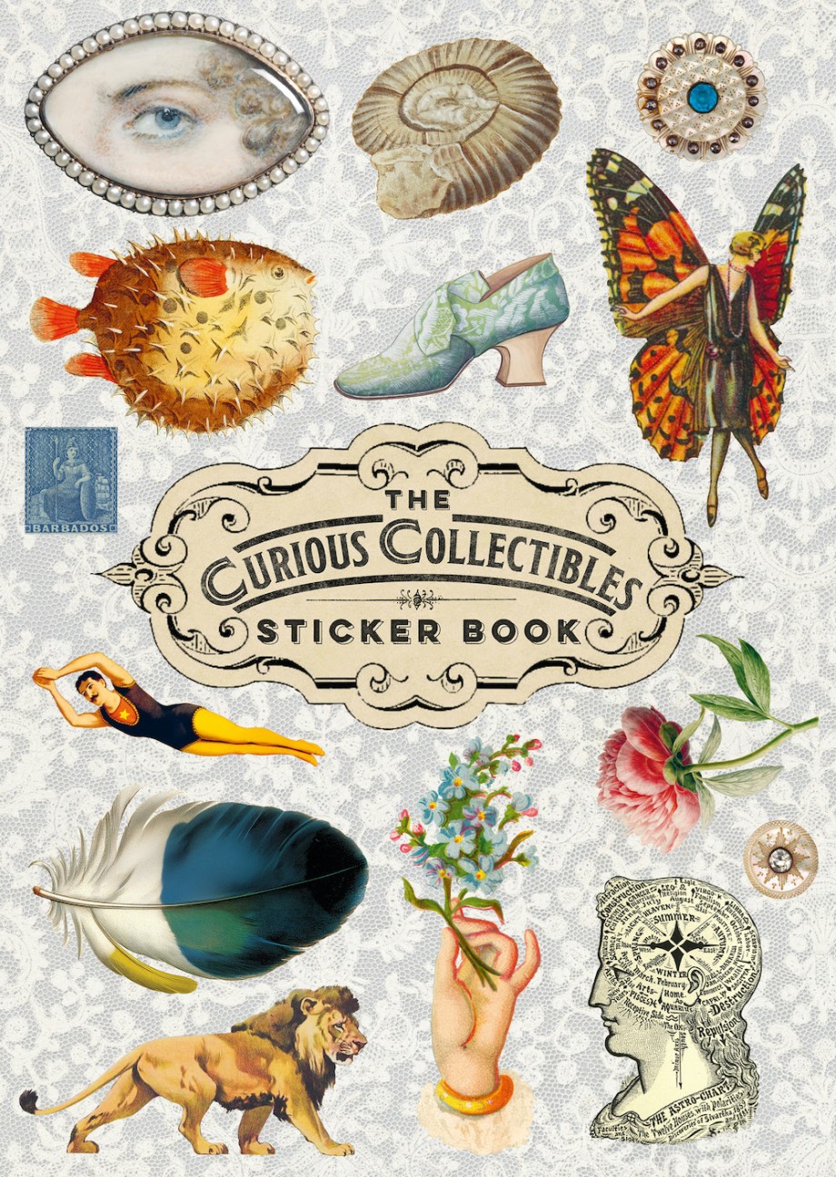 Curious Collections Sticker Book