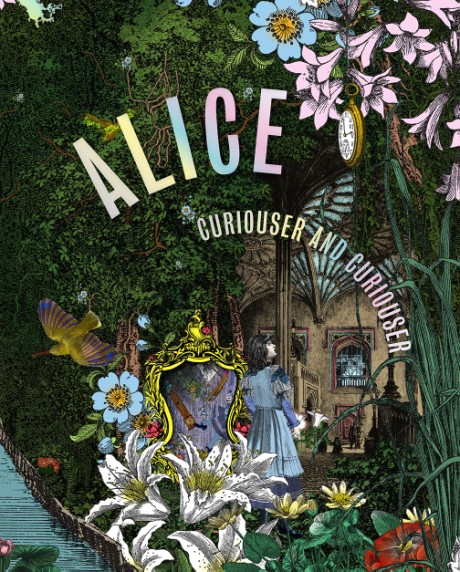 Cover image for Alice Curiouser and Curiouser