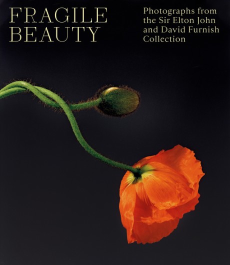 Cover image for Fragile Beauty Photographs from the Sir Elton John and David Furnish Collection