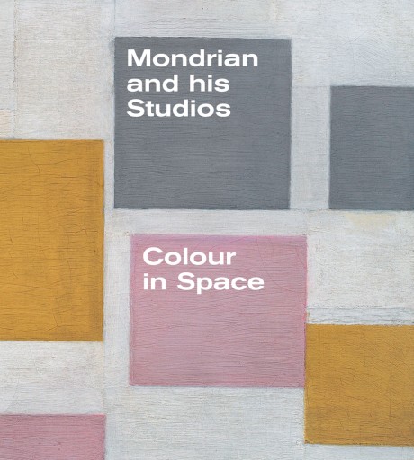 Cover image for Mondrian and His Studios: Colour in Space 