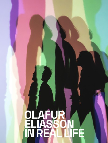 Cover image for Olafur Eliasson 