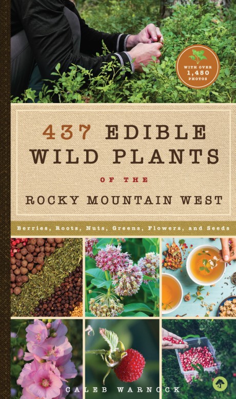 Cover image for 437 Edible Wild Plants of the Rocky Mountain West Berries, Roots, Nuts, Greens, Flowers, and Seeds