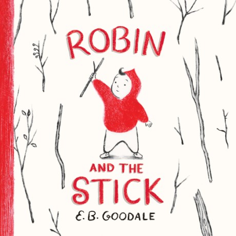 Cover image for Robin and the Stick A Picture Book