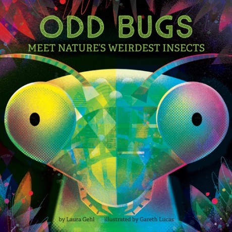 Cover image for Odd Bugs (A Curious Crittters Board Book) Meet Nature's Weirdest Insects