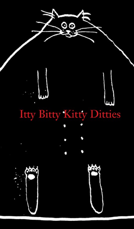 Cover image for Itty Bitty Kitty Ditties 