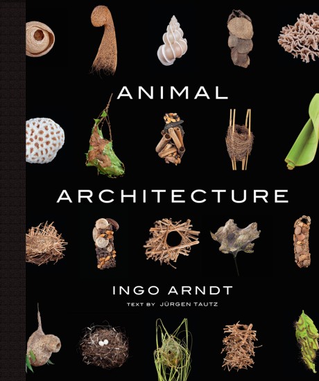 Cover image for Animal Architecture Photographs of Natural Habitats