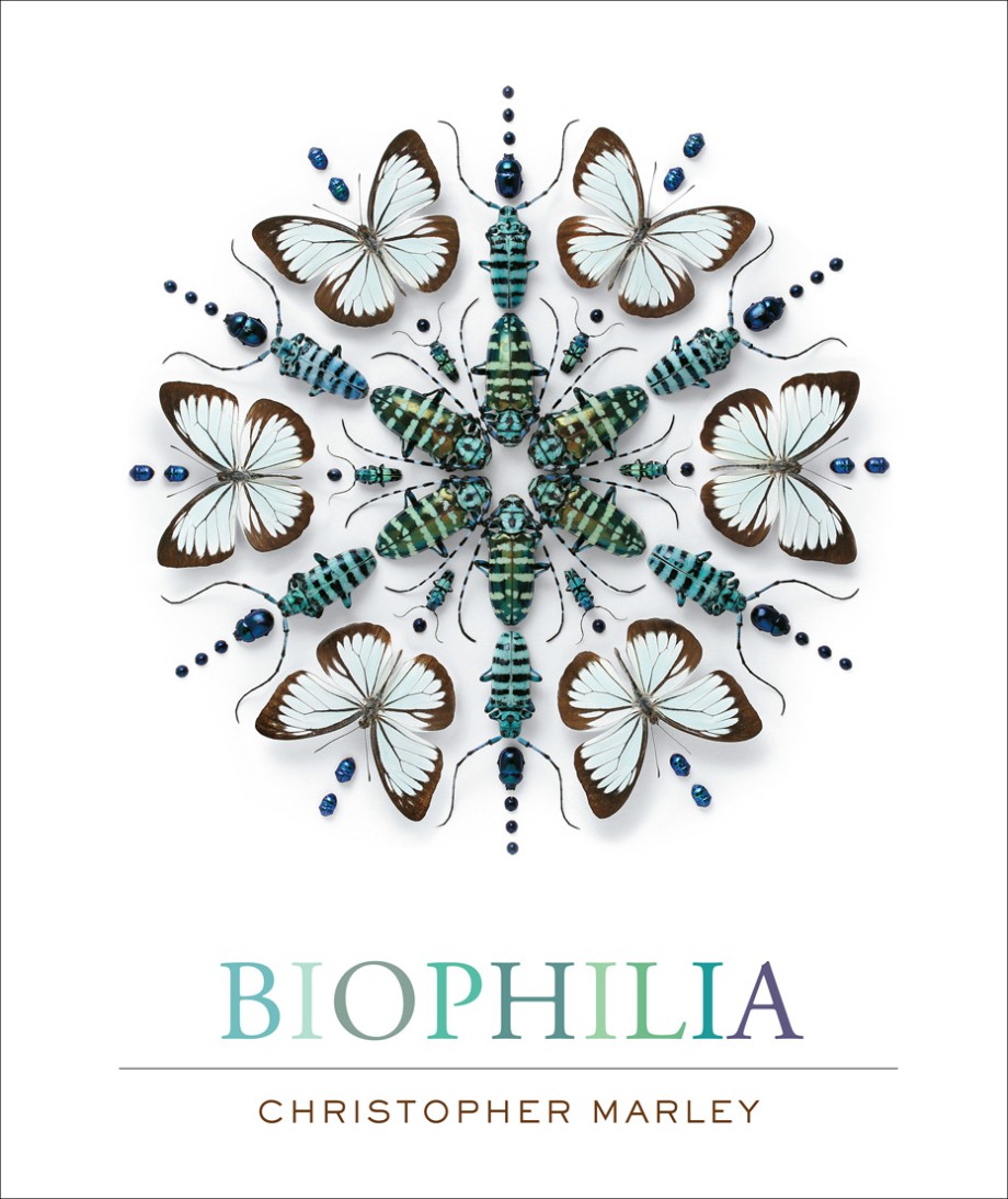 Biophilia Christopher Marley’s Art of Nature