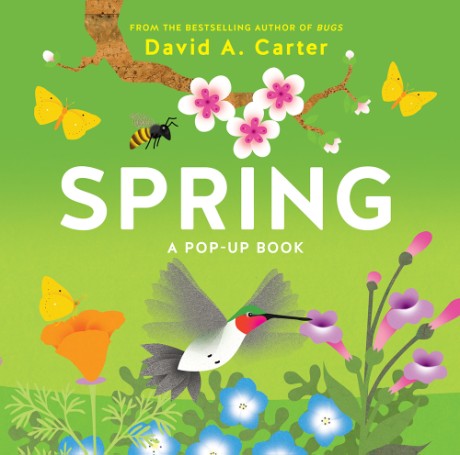 Cover image for Spring A Pop-up Book