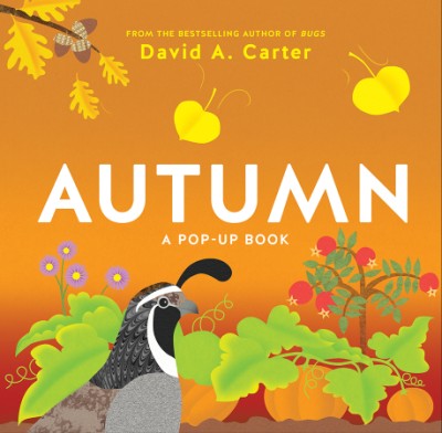 Autumn A Pop-Up Book