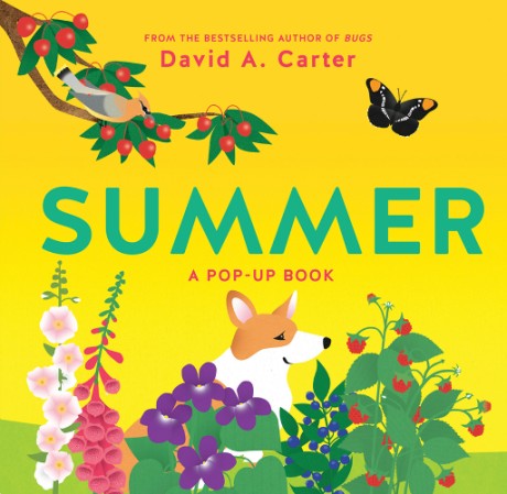 Cover image for Summer A Pop-Up Book