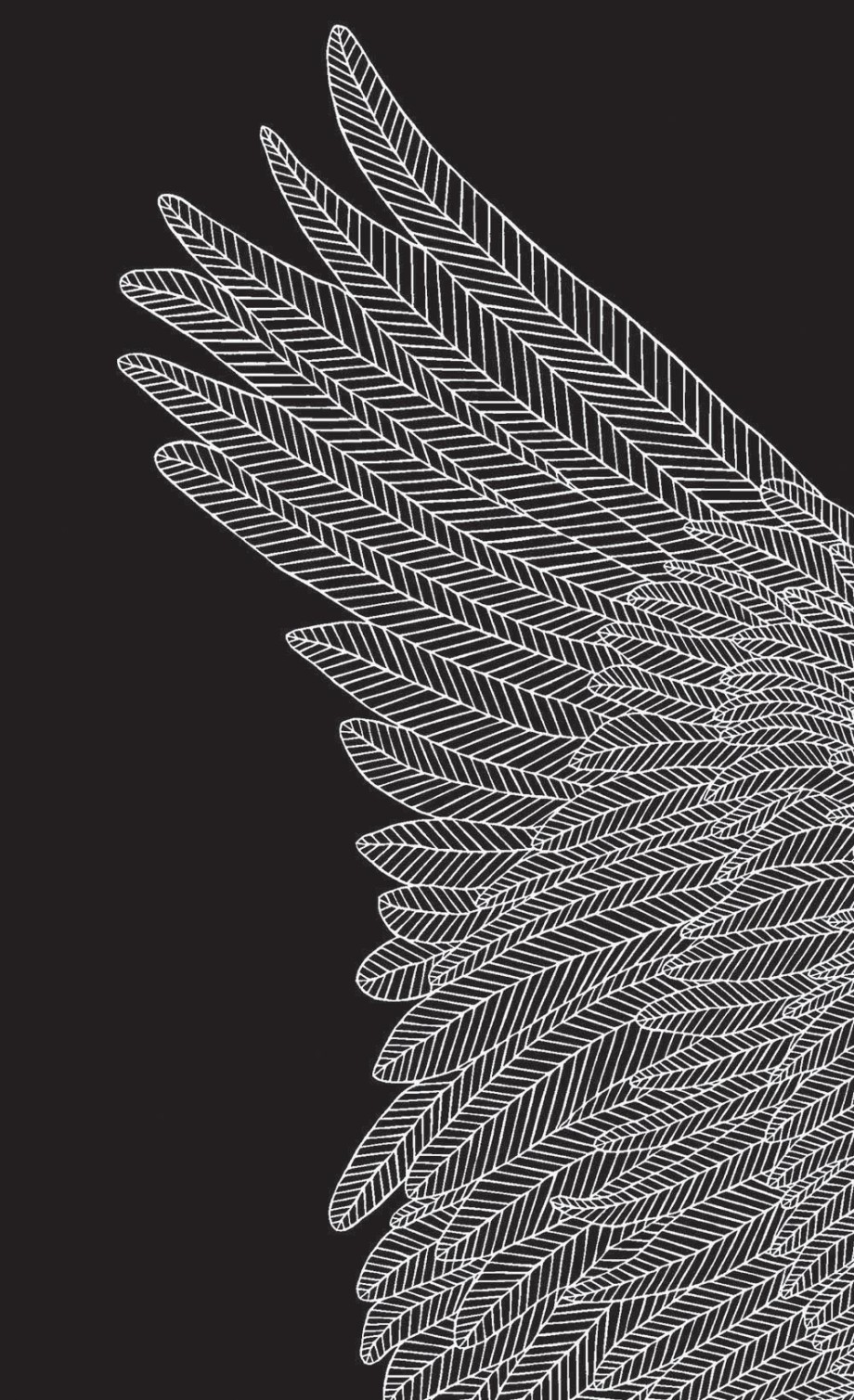 Brave Birds Journal (Hardcover)
