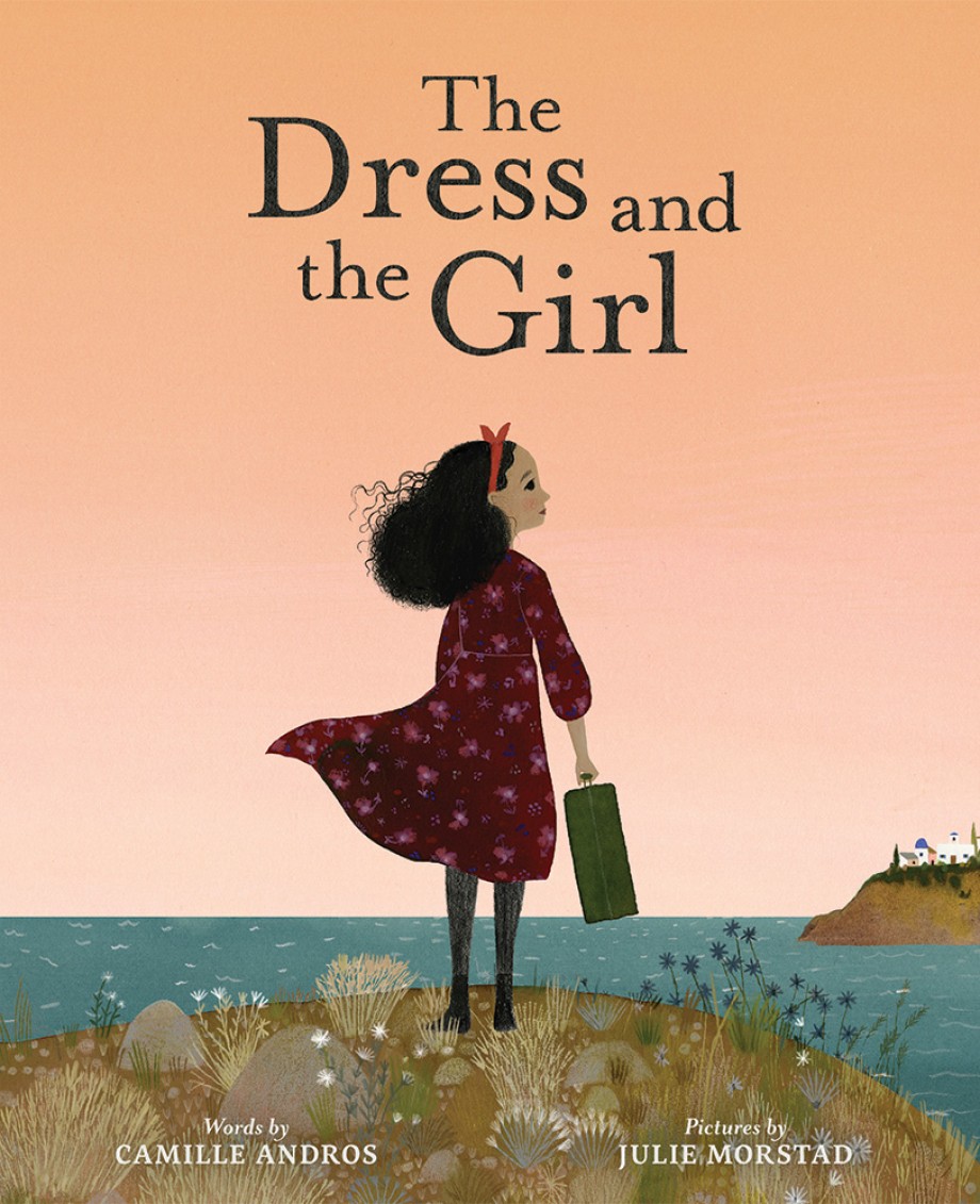 Cover for Dress and the Girl A Picture Book
