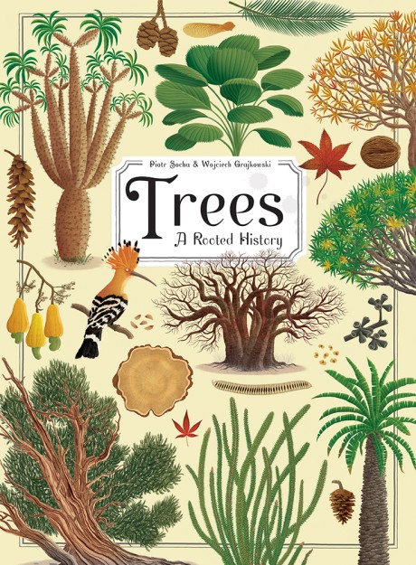 Cover image for Trees A Rooted History