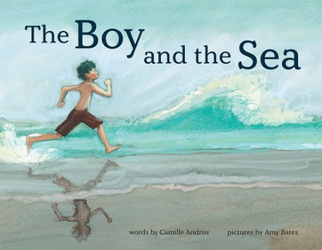 Cover image for Boy and the Sea 