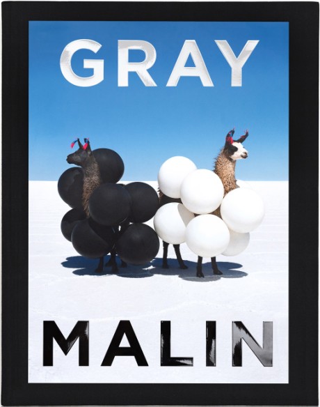 Cover image for Gray Malin The Essential Collection