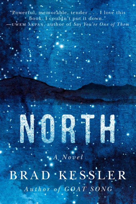 Cover image for North A Novel