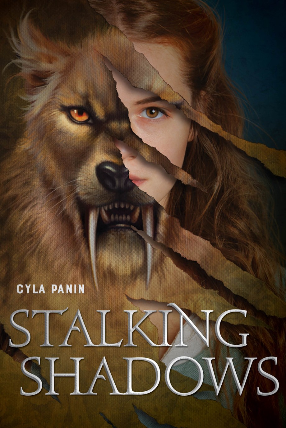Stalking Shadows A Novel