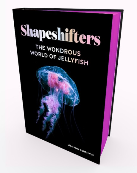 Cover image for Shapeshifters The Wondrous World of Jellyfish