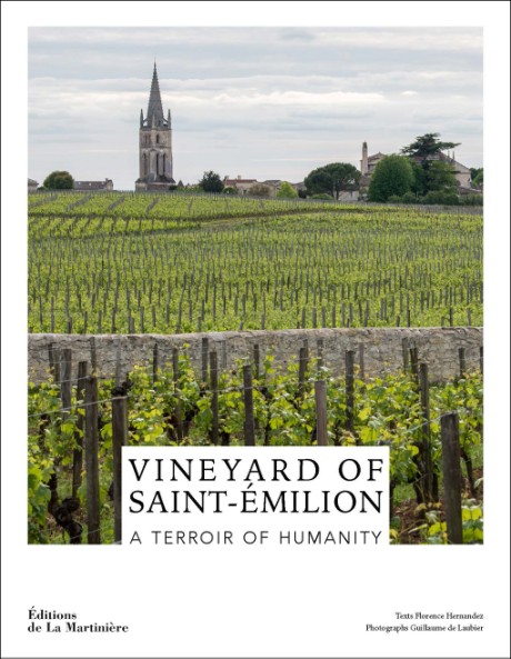 Cover image for Wines of Saint-Émilion A World Heritage Vineyard