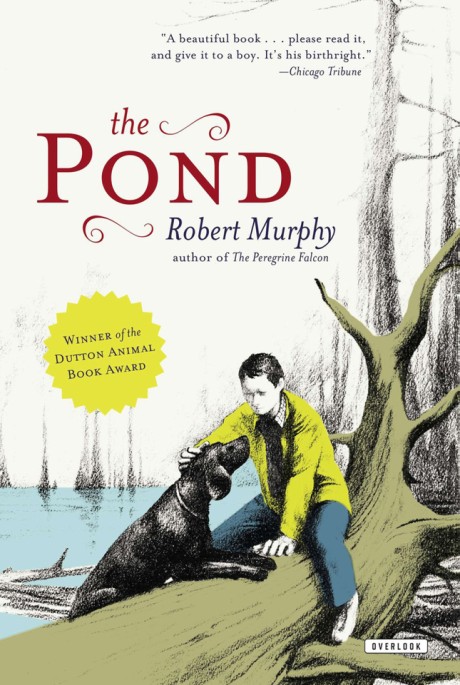 Cover image for Pond 