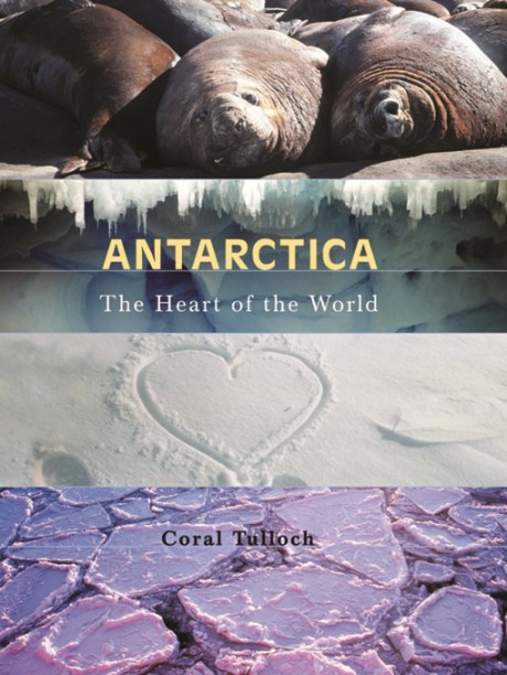 Cover image for Antarctica The Heart of the World