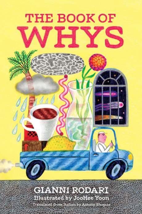 Cover image for Book of Whys 