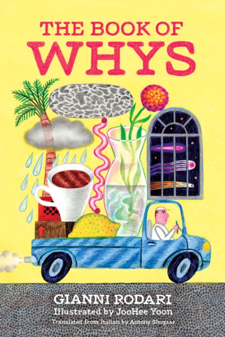 Cover image for Book of Whys 