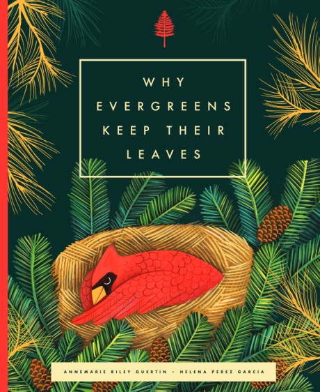 Cover image for Why Evergreens Keep Their Leaves 