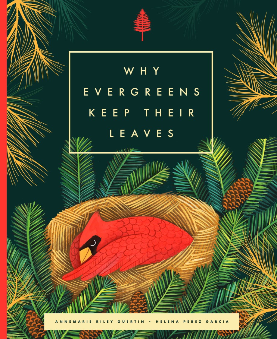 Why Evergreens Keep Their Leaves 