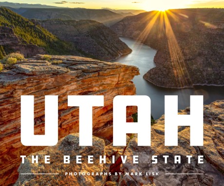 Cover image for Utah: The Beehive State 