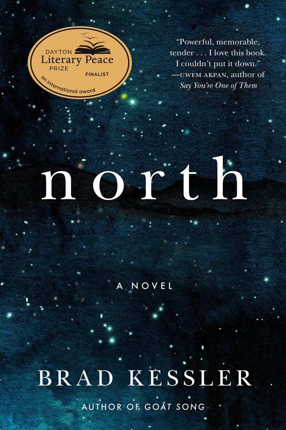 North A Novel