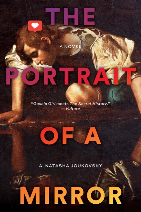 Cover image for Portrait of a Mirror A Novel