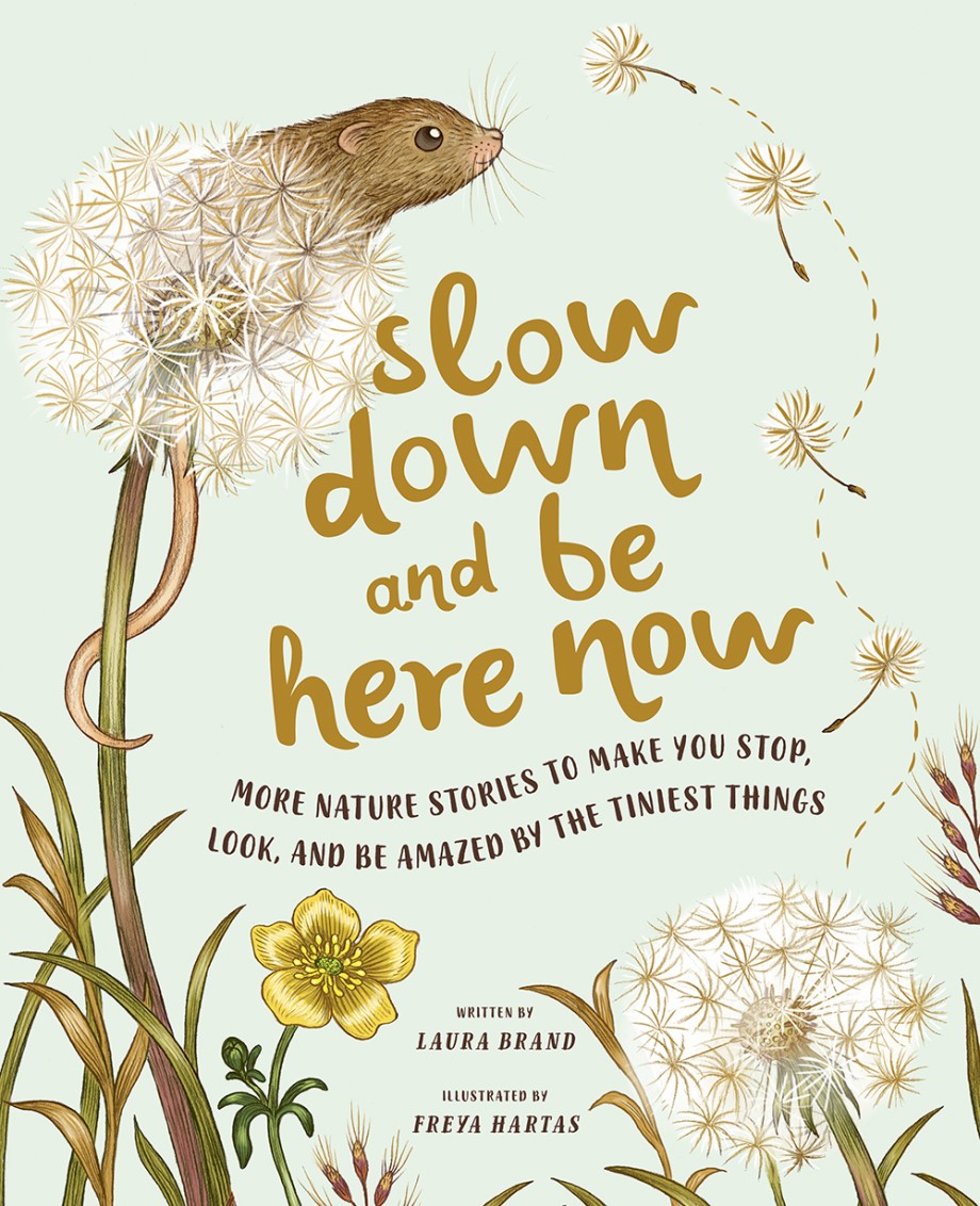 Slow Down and Be Here Now More Nature Stories to Make You Stop, Look, and Be Amazed by the Tiniest Things
