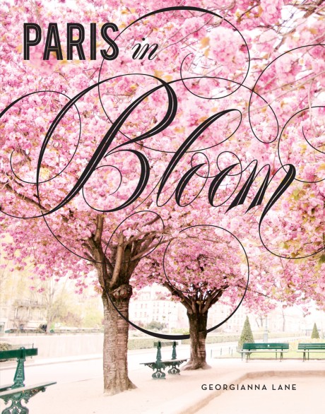 Cover image for Paris in Bloom