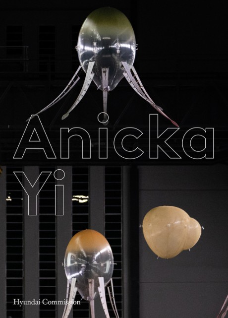 Cover image for Anicka Yi 