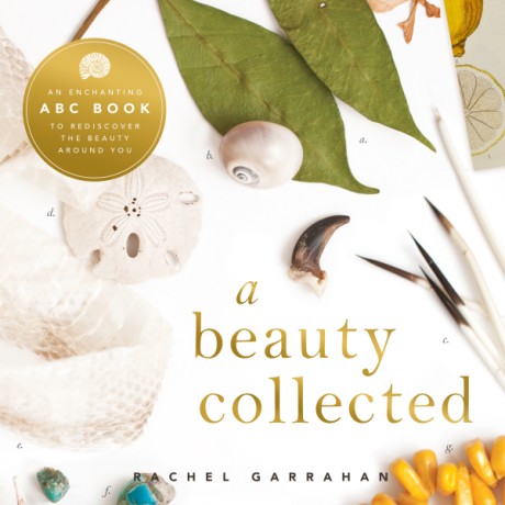 Cover image for Beauty Collected A Captivating ABC Book to Discover the Beauty Around You