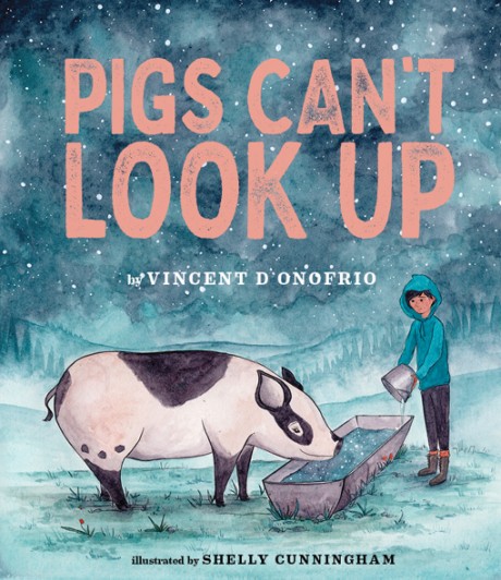 Cover image for Pigs Can't Look Up A Picture Book