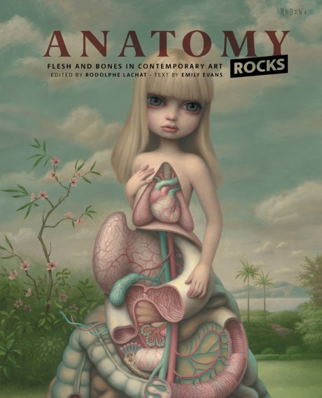 Cover image for Anatomy Rocks Flesh and Bones in Contemporary Art
