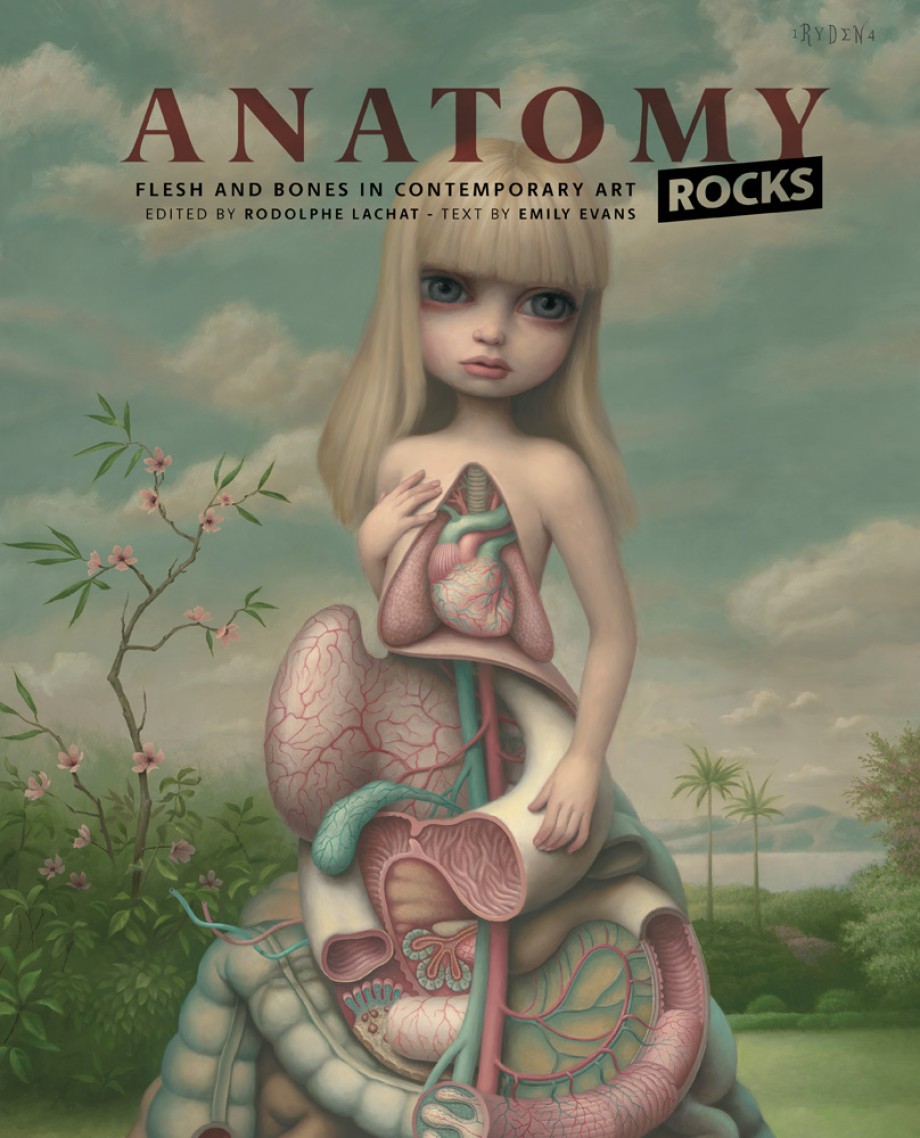 Cover for Anatomy Rocks Flesh and Bones in Contemporary Art