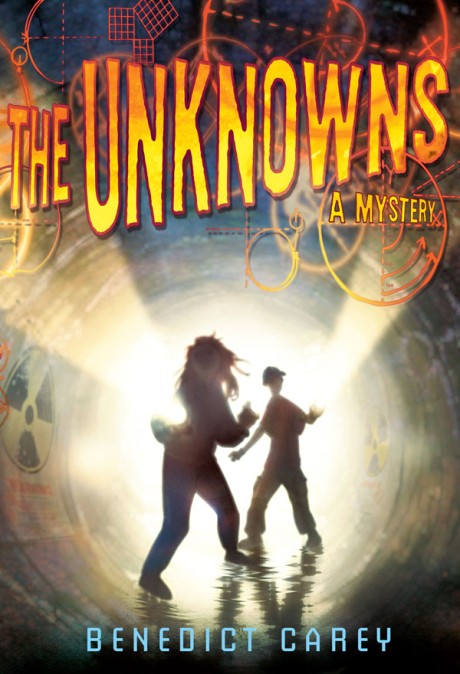 Cover image for Unknowns A Math Mystery