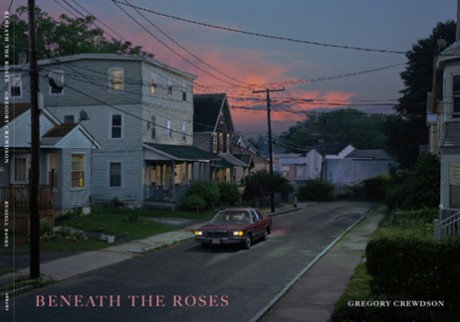 Cover image for Beneath the Roses 