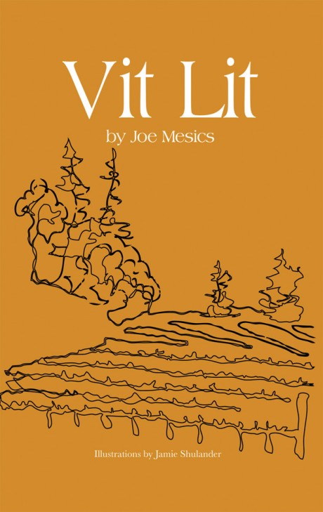 Cover image for Vit Lit 