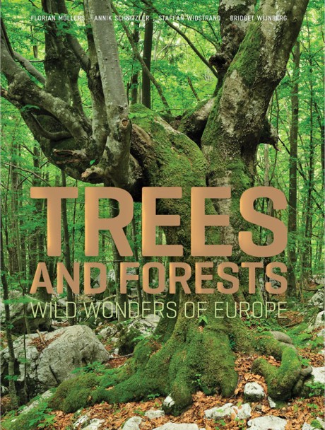 Cover image for Trees and Forests: Wild Wonders of Europe 