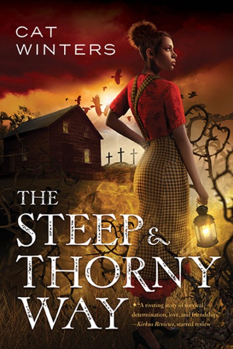 Cover image for Steep and Thorny Way 