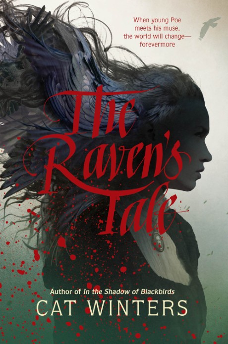 Cover image for Raven's Tale 